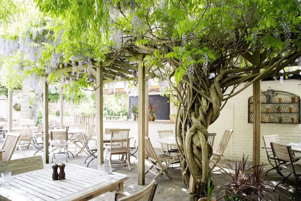 pub garden for summer parties