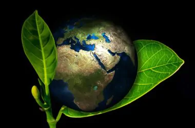 eco friendly