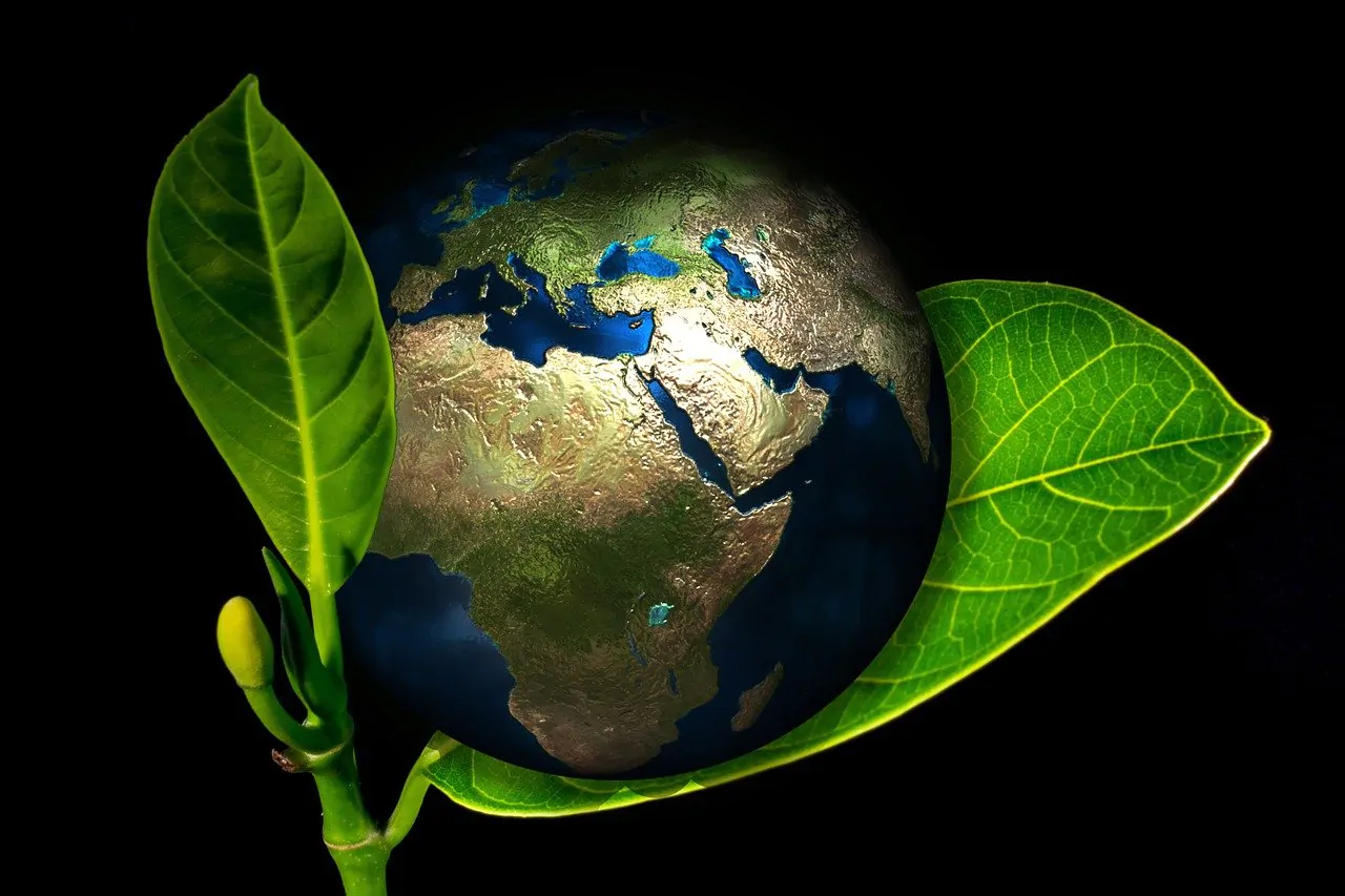 eco friendly