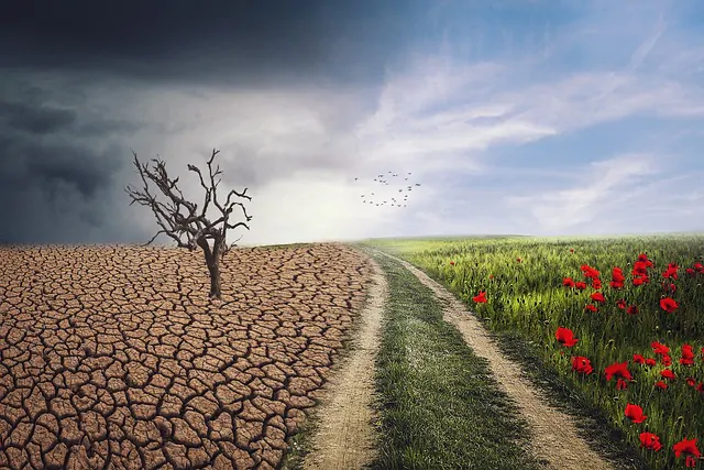 reasons to host a sustainable event