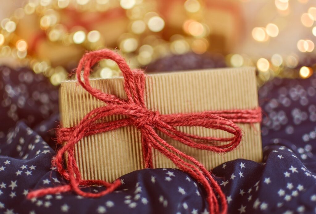 sustainable christmas gift guide