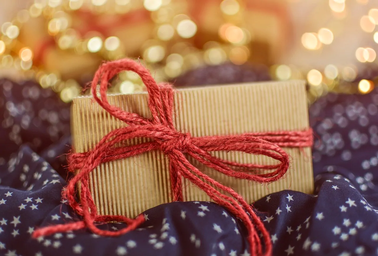 sustainable christmas gift guide