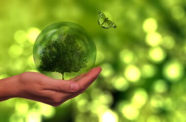 corporate event planning